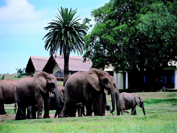 Gorah Elephant Camp - Exterior